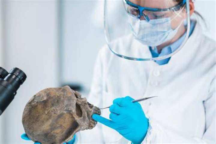 Where can I work as a forensic anthropologist?