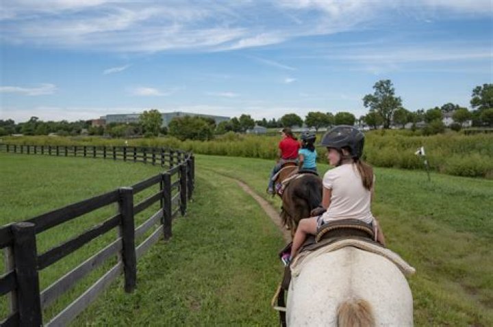 Where can you go horseback riding in NY?
