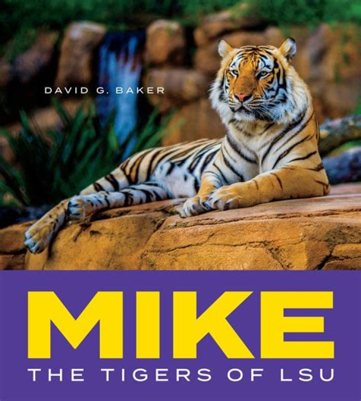 Where did LSU get Mike VII?