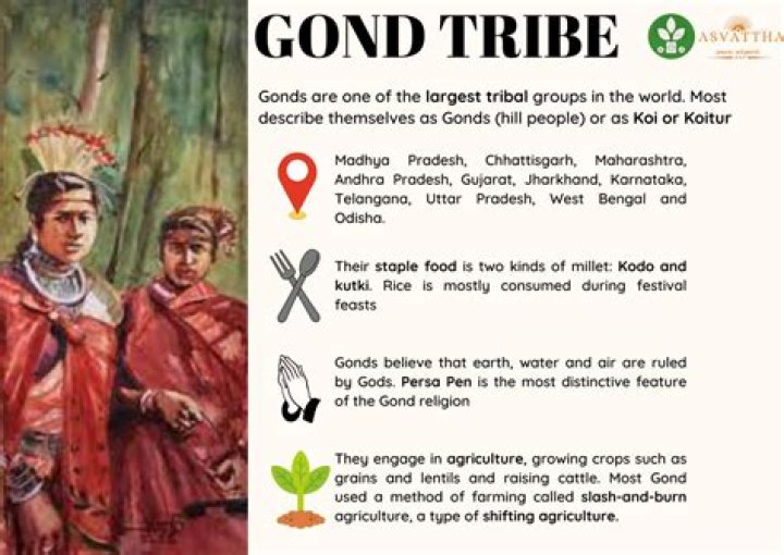 Where did the Gond tribe draw pictures?