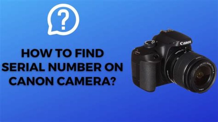 Where do I find my VueScan serial number?