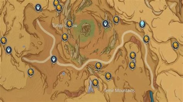 Where do I put the charged Agonarch Rune?