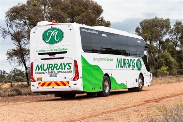 Where do Murrays Buses leave from in Sydney?