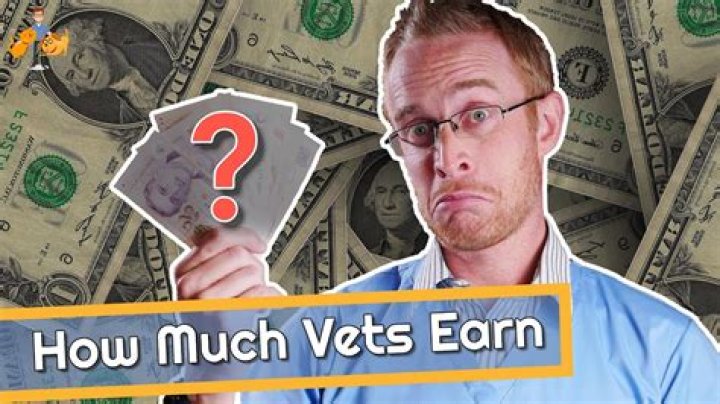 Where do vets earn the most?