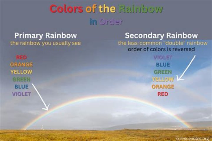 Where does pink go in the rainbow order?