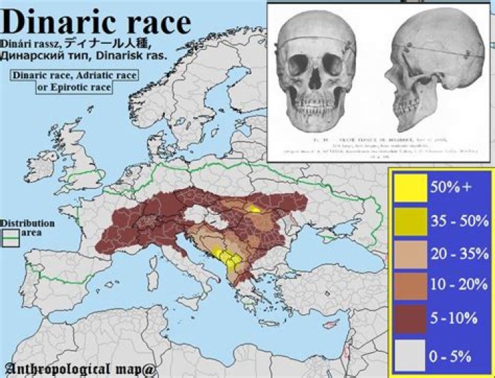 Where does the Dinaric race live?