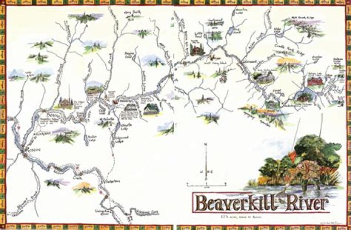 Where is Beaver Kill NY?