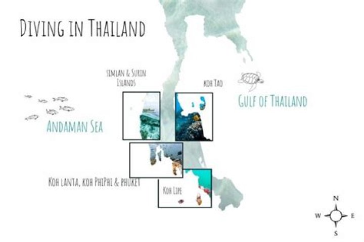 Where is best diving in Thailand?