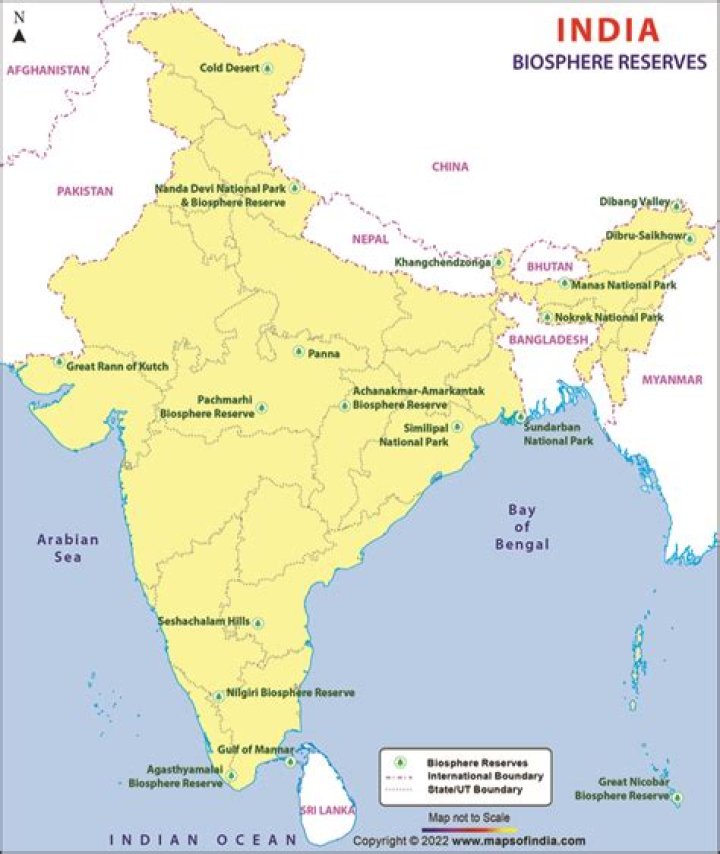 Where is Biosphere Reserve simple located?