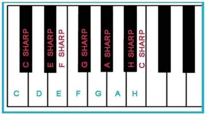 Where is Edward Sharp from?