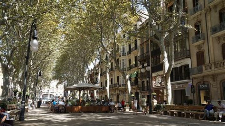 Where is Passeig del Born in Barcelona?