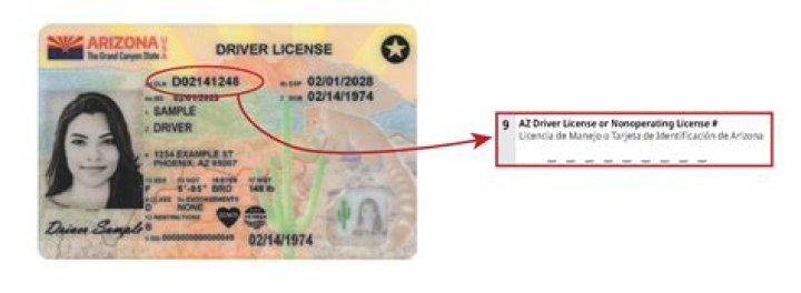 Where is the license number?