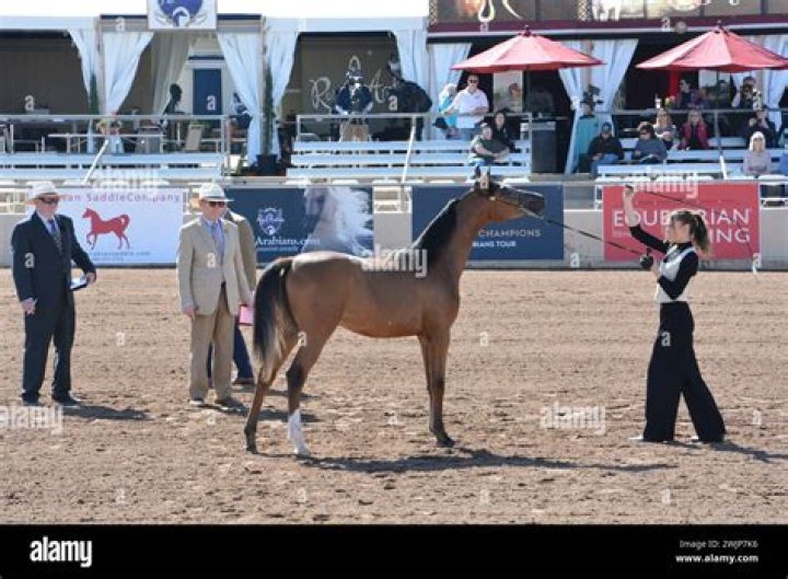 Where is the Scottsdale Arabian Horse Show held?