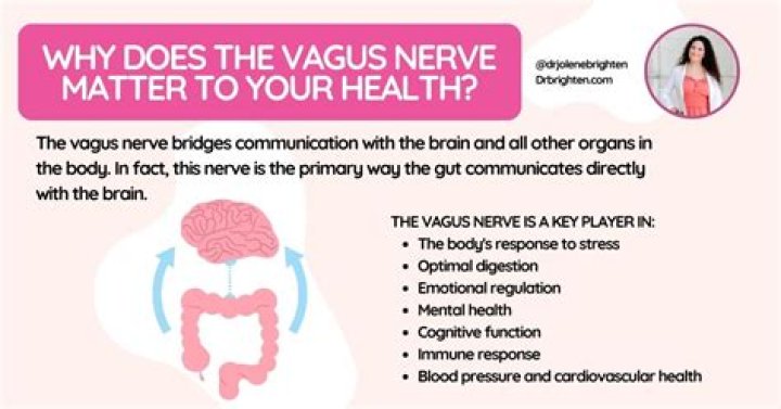 Where is the vagus nerve in reflexology?