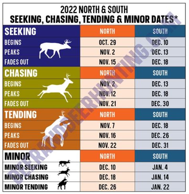 Where should I hunt during the rut?