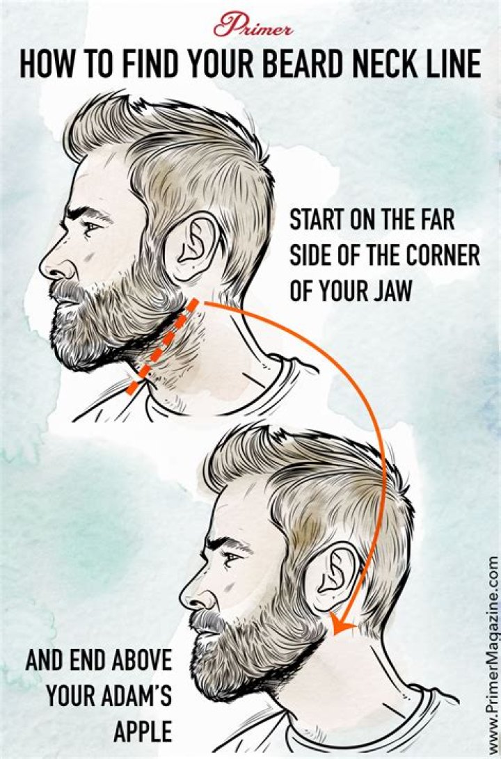 Where should I shave my neckline full beard?