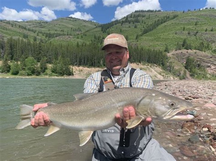 Where to catch bull trout in Montana?