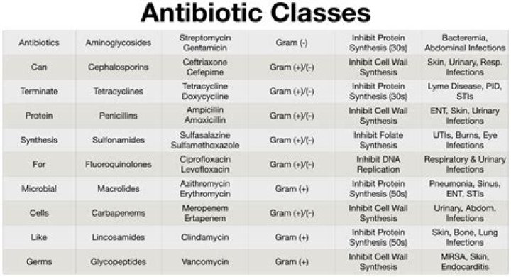 Which antibiotic is best for typhus?