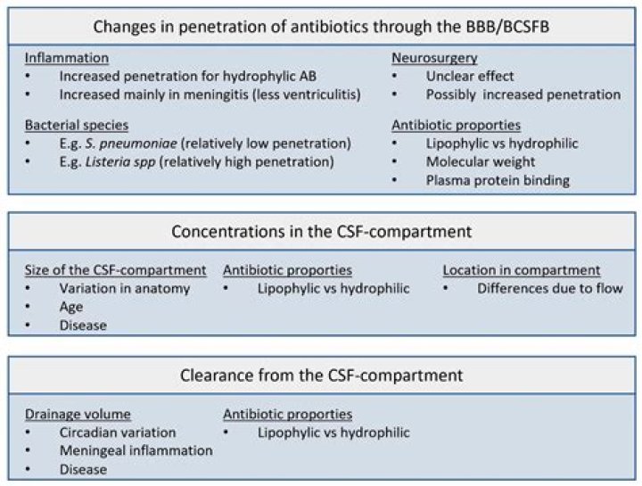 Which antibiotic penetrates blood CSF barrier the best?