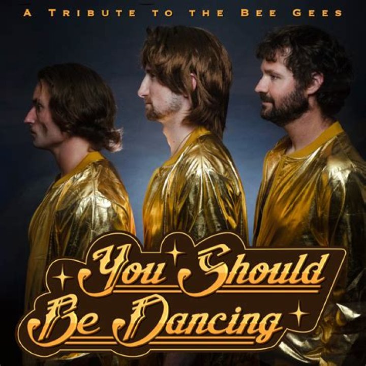 Which Bee Gee sings You Should Be Dancing?