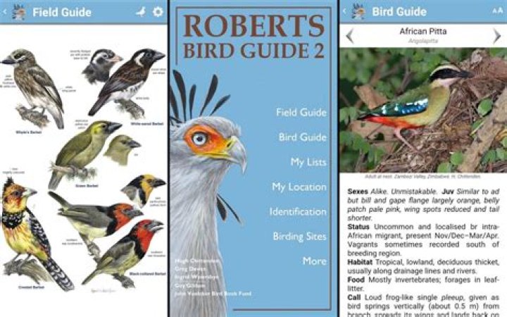Which bird guide is best?