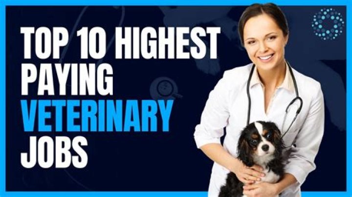 Which country needs veterinarians most?
