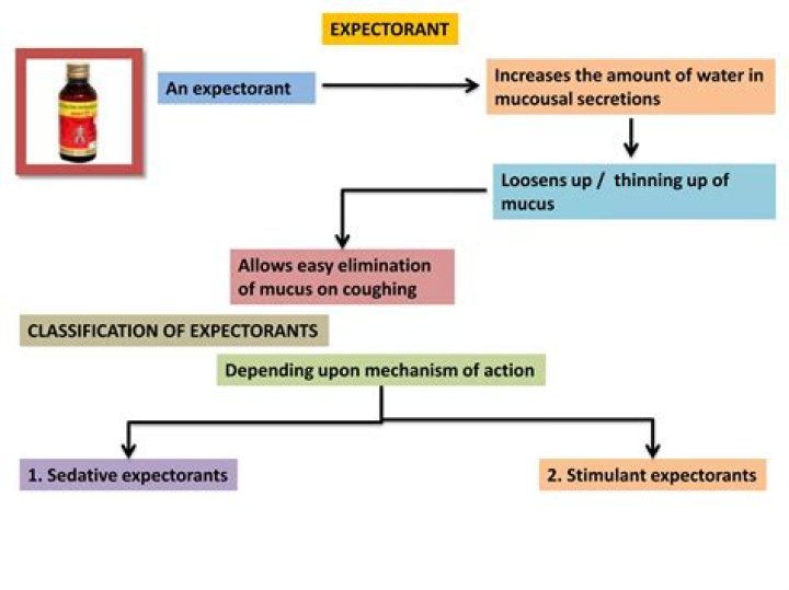Which drug is used as expectorant?