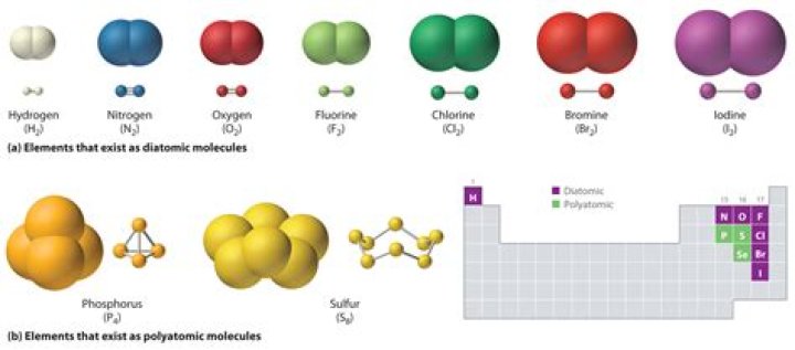 Which elements appear as polyatomic molecules in their standard states?