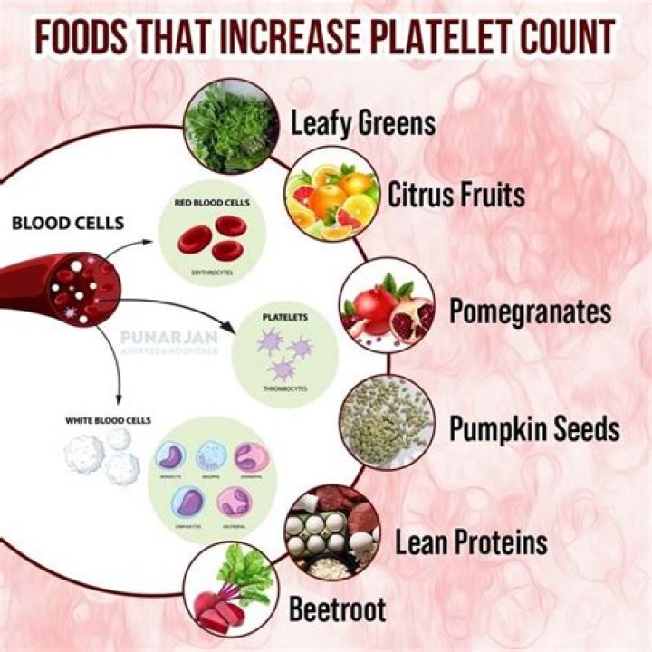 Which food increase platelet count fast?