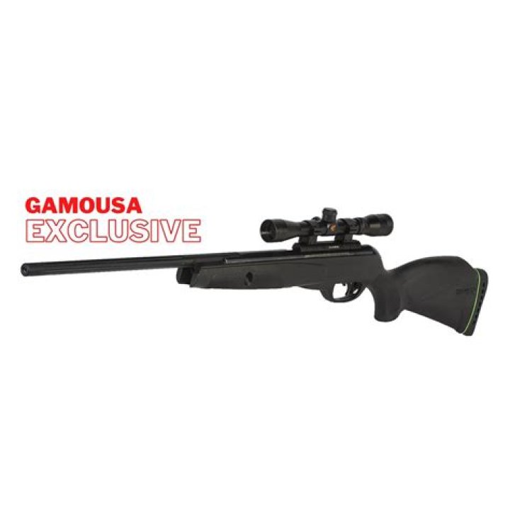 Which Gamo air rifle is the most accurate?