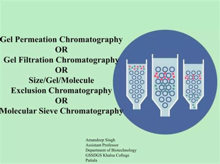 Which gel used in size exclusion chromatography?