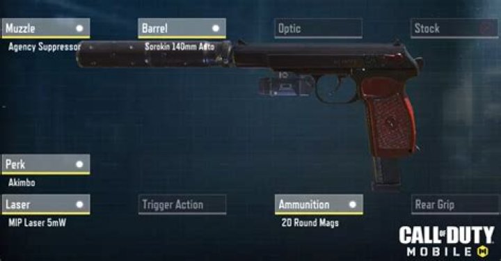 Which guns have the Akimbo perk?