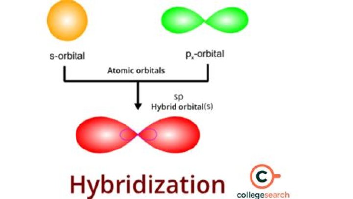 Which has sp hybridization of central atom?