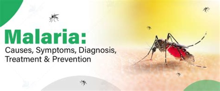 Which health related problems are caused due to malaria?
