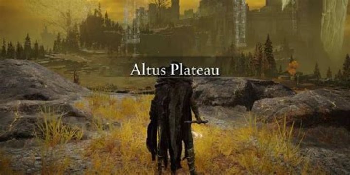 Which is better Alivio or Altus?