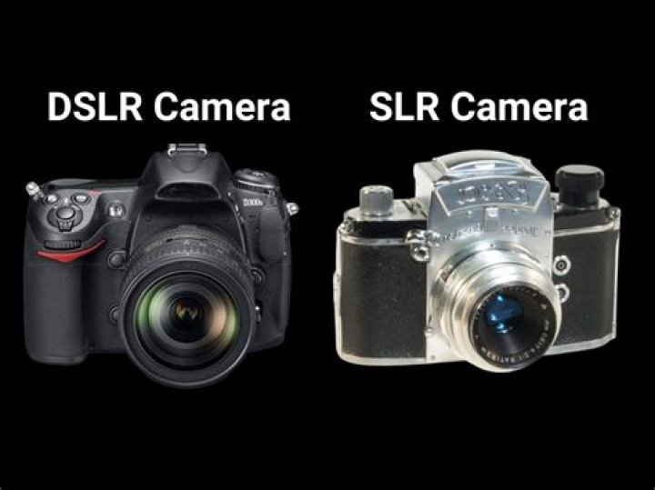 Which is better SLR or DSLR camera?