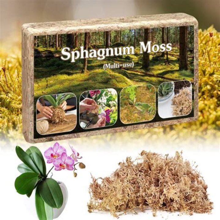 Which is better sphagnum moss or peat moss?