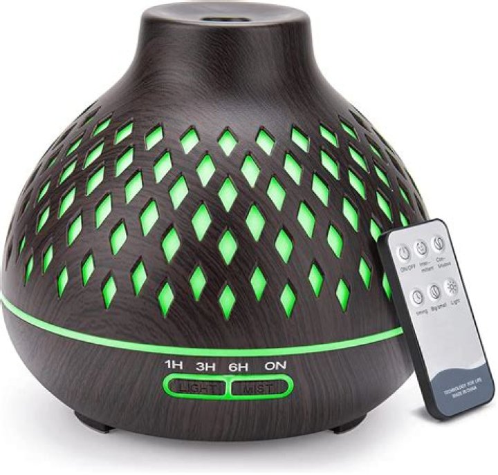 Which is the best diffuser?