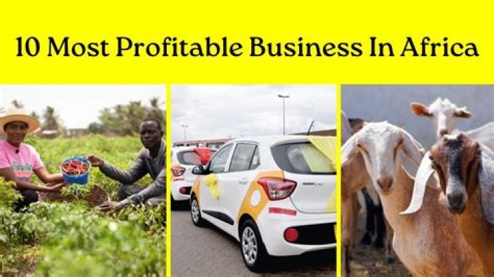 Which is the most profitable business in Africa?