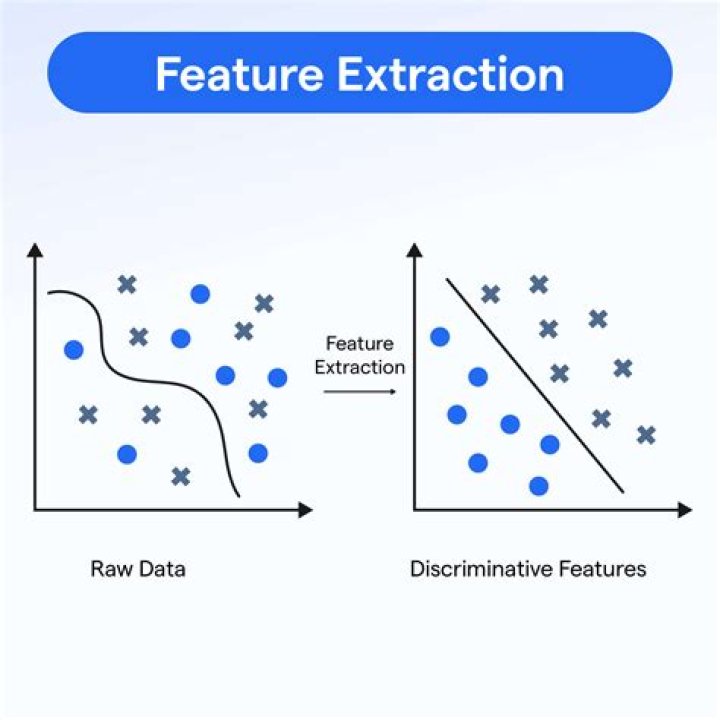 Which model is best for feature extraction?