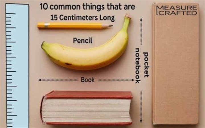 Which object is 1 cm long in real life?