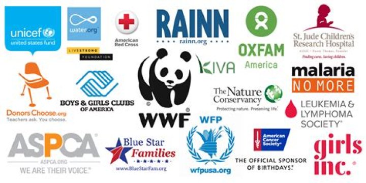 Which Organisations are affiliated with Wikipedia?