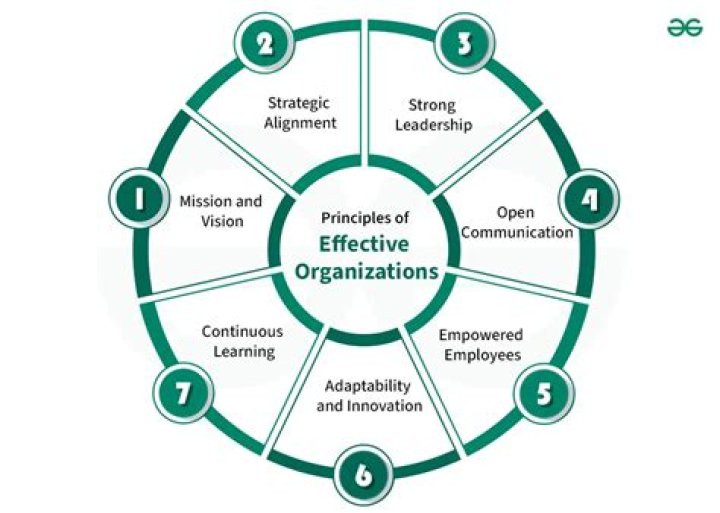 Which organizations have the most opportunities in the sales system?