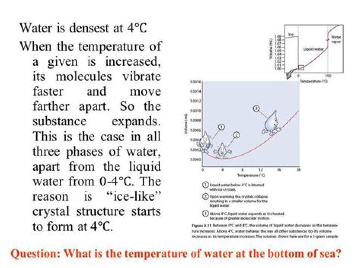 Which phase of water is densest?