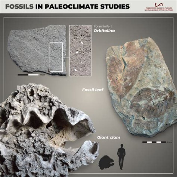 Which radioisotope is used for dating fossils?
