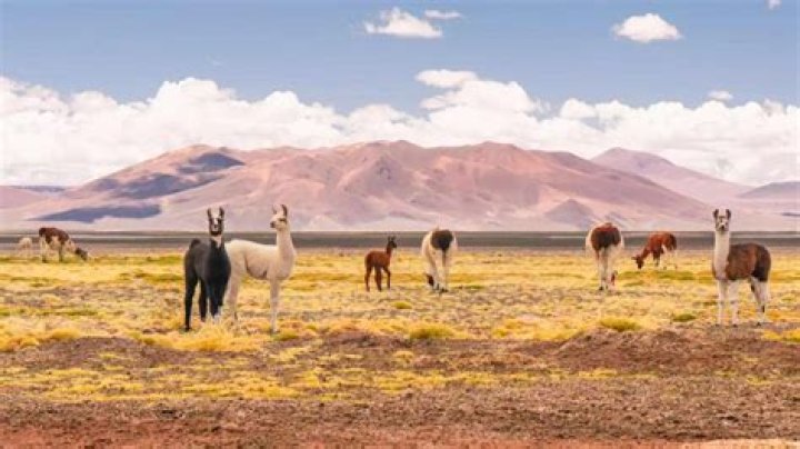 Which region is the Atacama Desert in?