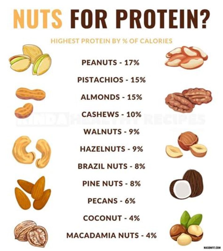 Which seed or nut has the most protein?