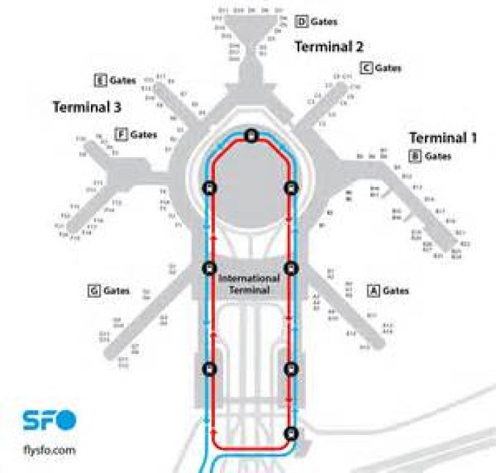 Which terminal is domestic at SFO?