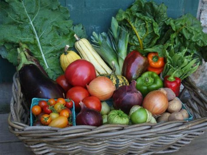 Which vegetables grow in summer season?