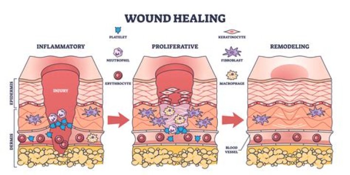 Which vitamin should be provided to a patient to promote wound healing?